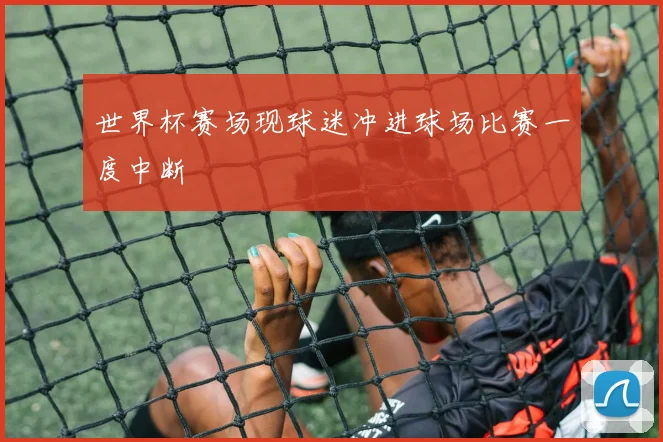 世界杯赛场现球迷冲进球场比赛一度中断
