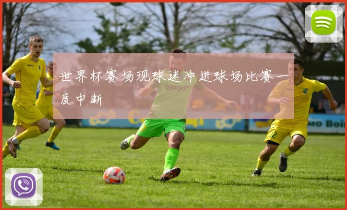 世界杯赛场现球迷冲进球场比赛一度中断