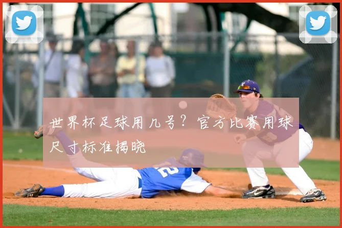 世界杯足球用几号？官方比赛用球尺寸标准揭晓