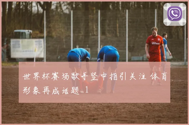 世界杯赛场歌手竖中指引关注 体育形象再成话题_1